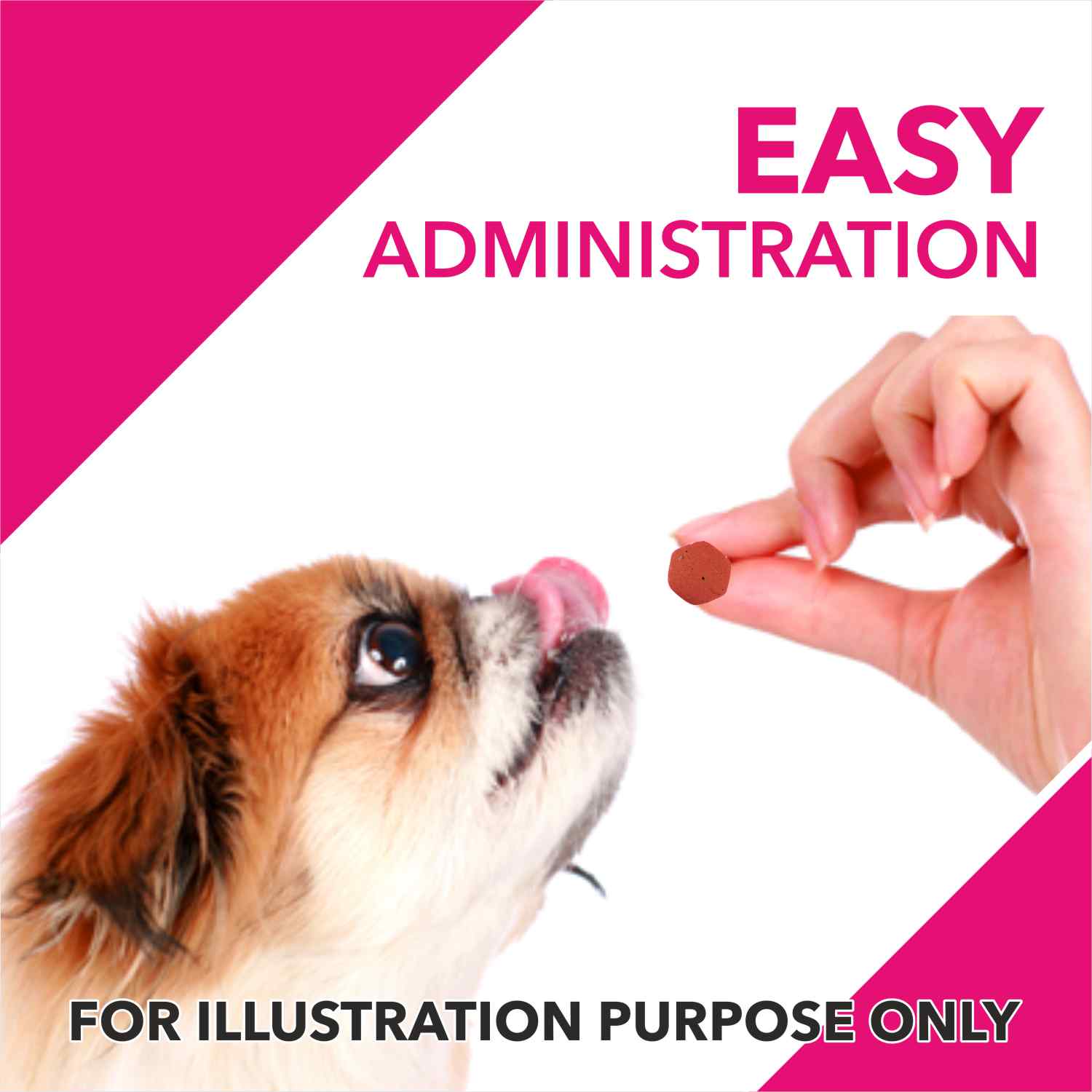 Drools Absolute Skin & Coat Supplement Tablets for Dogs Dogs-Health & Wellness Drools