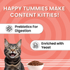 Bark Out Loud Essentials Real Fish Adult Cat Dry Food Cats- Dry food Bark Out Loud Essentials