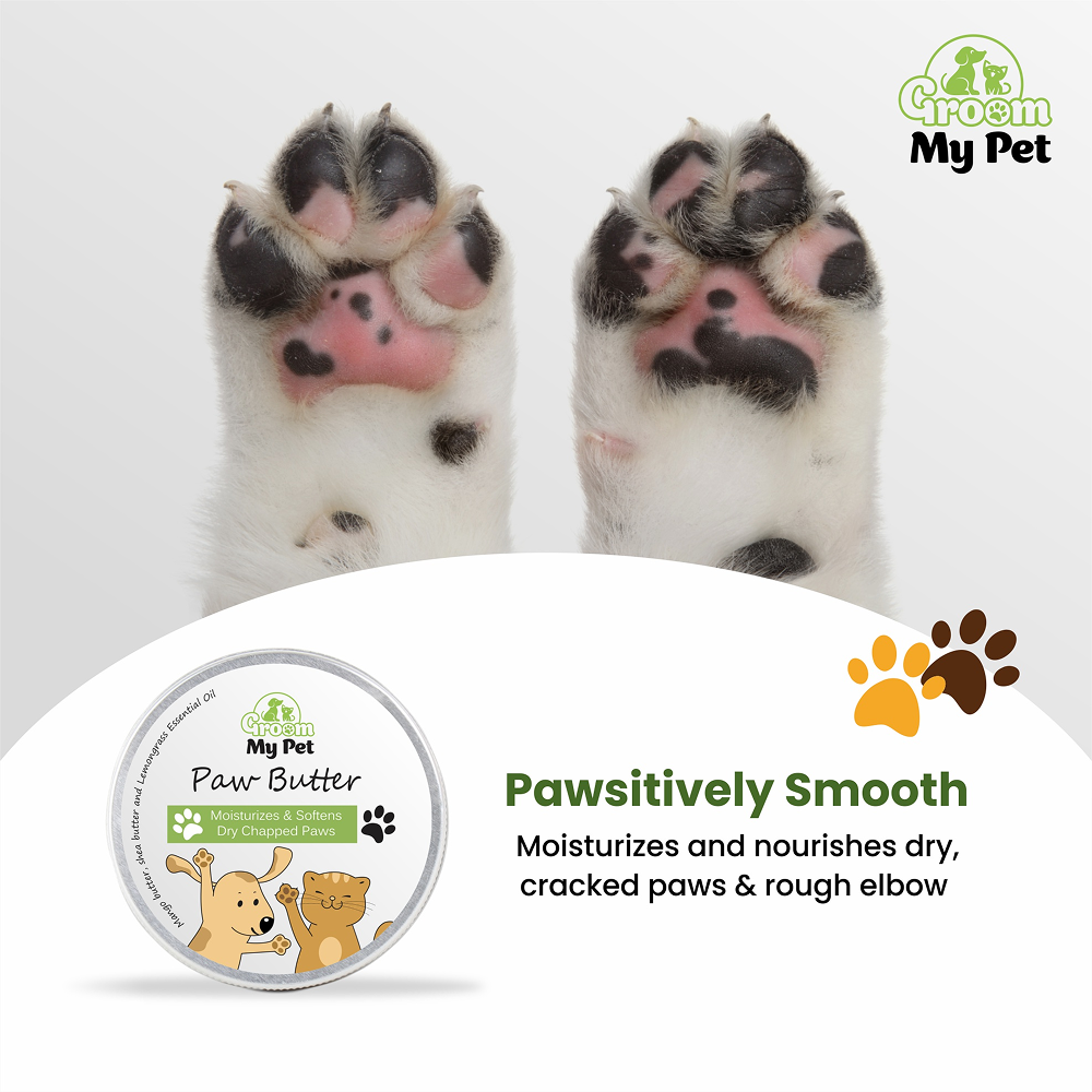 Groom My Pet Paw Butter for Dogs and Cats Both-Grooming Supplies Groom My Pet Dropship