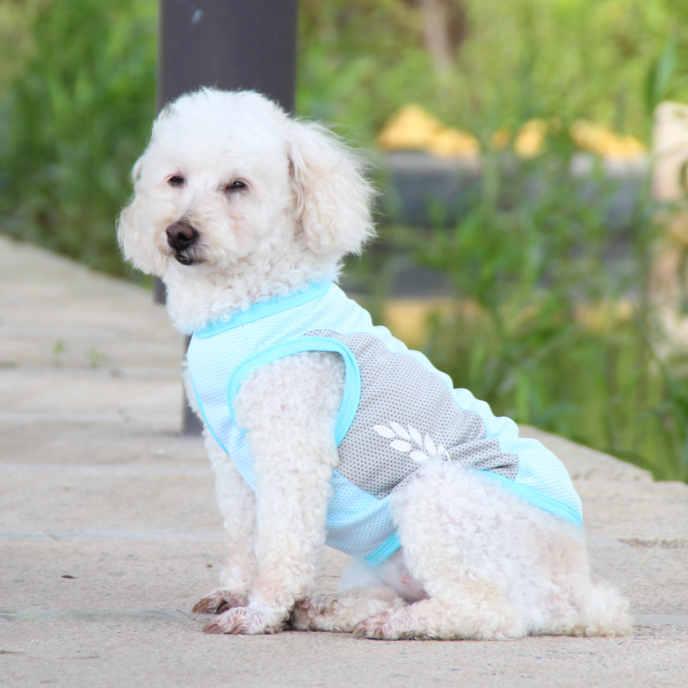 Talking Dog Club Coolios Cooling Vests for Dogs (Blue)