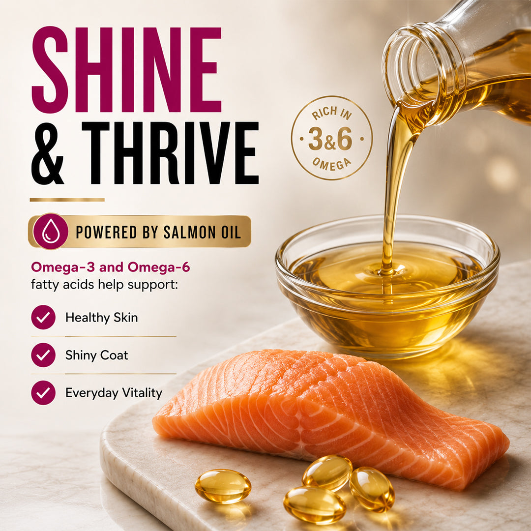 Signature Grain Zero Ocean Fish, Sardine and Mackerel Long Coat & Persian Adult Cat Dry Food Cats- Dry food Signature