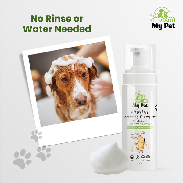 Groom My Pet Waterless Foaming Shampoo for Dogs