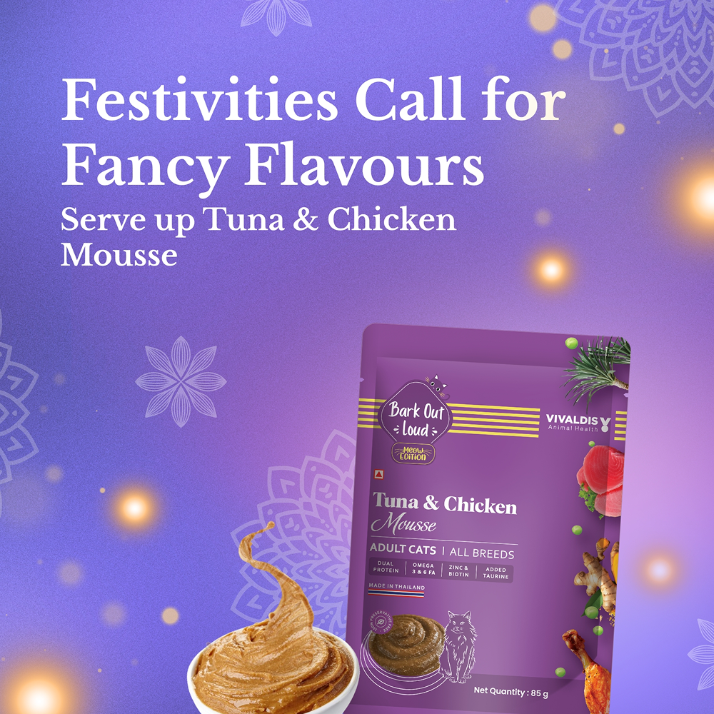Bark Out Loud Festive Gift Box for Cats Cats-Treats & Others Bark Out Loud