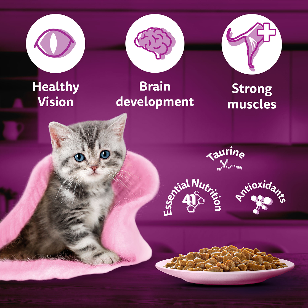 Whiskas Tuna in Jelly Kitten Cat Wet Food (80g) Cats-Wet Food Whiskas