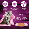 Whiskas Kitten Cat Food Combo |Ocean Fish Dry & Chicken with Salmon in Jelly in Gravy Wet