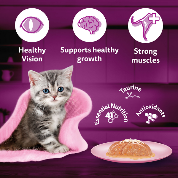 Whiskas Chicken with Salmon in Jelly Kitten (2-12 Months) Cat Wet Food