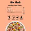 Homiee & Ginger Grain Free Mini Meals Surf & Turf, Fish Feista, Chicken & Barley Food for Dogs Combo Dogs-Wet Food Homiee & Ginger
