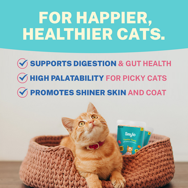 Smylo Tuna, Salmon & Pumpkin Fresh and No Preservative Adult Cat Wet Food
