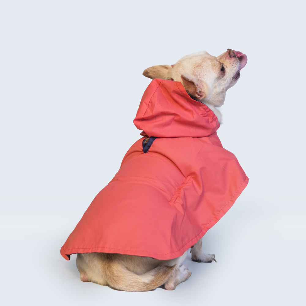 Pet Set Go Cape Style Raincoat for Dogs (Red) Dogs-Clothing & Accessories Pet Set Go