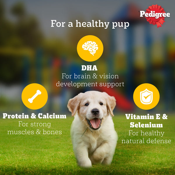 Pedigree Puppy Dog Food Combo |Chicken & Milk Dry & Chicken & Liver Wet