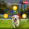 Pedigree Puppy Dog Food Combo |Chicken & Milk Dry & Chicken & Liver Wet Dogs- Dry Food Pedigree