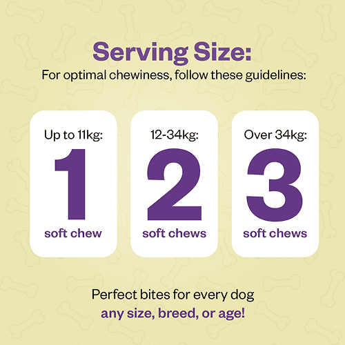 TailsAlive Hip & Joint Chicken Flavor Soft Chews Supplements for Dogs Dogs-Health & Wellness TailsAlive