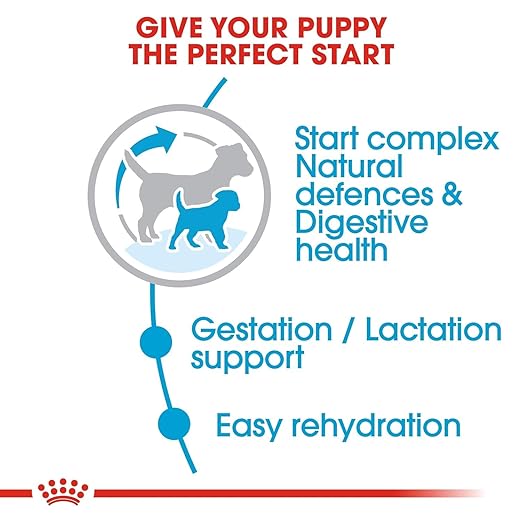 Royal Canin Mini Starter, Mother & Babydog Dry Food Dogs- Dry Food Royal Canin