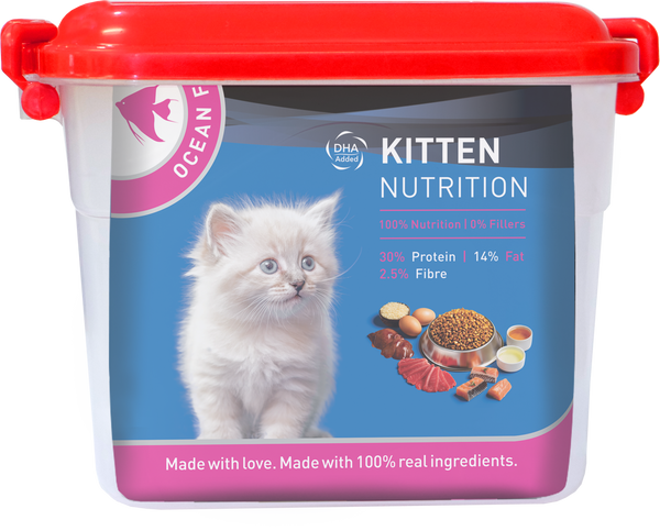 Drools Ocean Fish Kitten Cat Dry Food