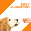 Drools Absolute Salmon Oil Syrup Supplement and Vitamin Supplement Tablets for Dogs Combo Dogs-Health & Wellness Drools