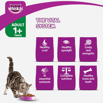 Whiskas Tuna in Jelly Meal Adult Cat Wet Food and Tuna Flavour Adult Cat Dry Food Combo