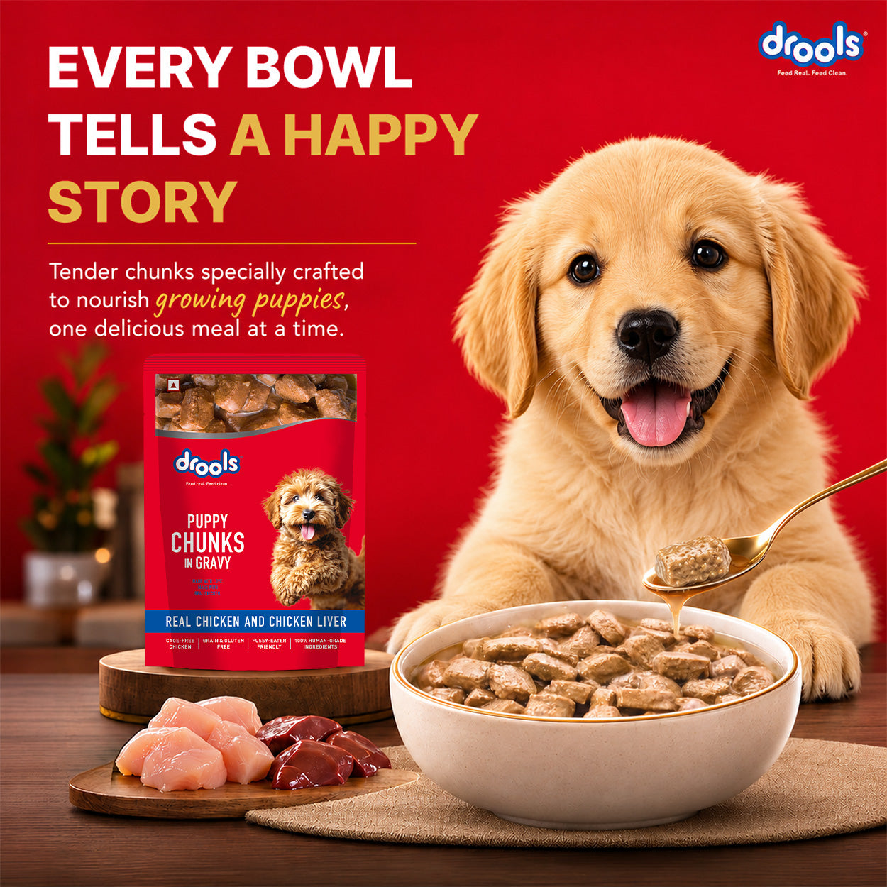 Drools Real Chicken & Chicken Liver Chunks in Gravy Puppy Dog Wet Food Dogs-Wet Food Drools