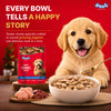 Drools Real Chicken & Chicken Liver Chunks in Gravy Puppy Dog Wet Food Dogs-Wet Food Drools