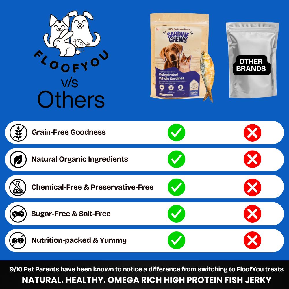 FloofYou Air Dried Whole Sardines Fish Dog & Cat Treats Dog Treats + Others FloofYou