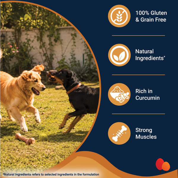Bowlers Chicken Recipe in Gravy Dog Wet Food