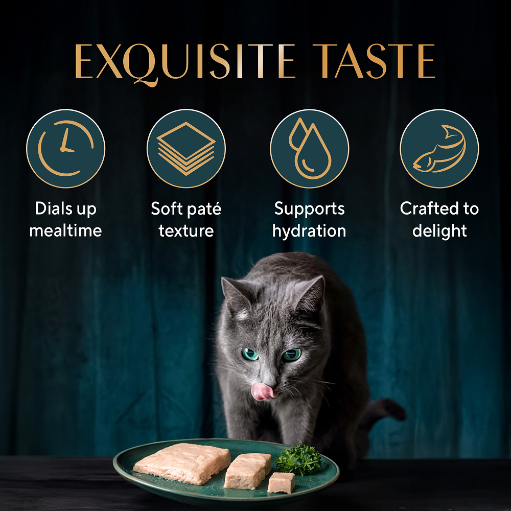 Sheba Maguro Pate Rich Premium Adult Fine Cat Wet Food Cats-Wet Food Sheba