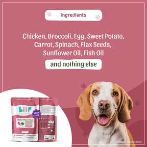 BLEP Chicken Brocco Pawer Dog Wet Food (300g)