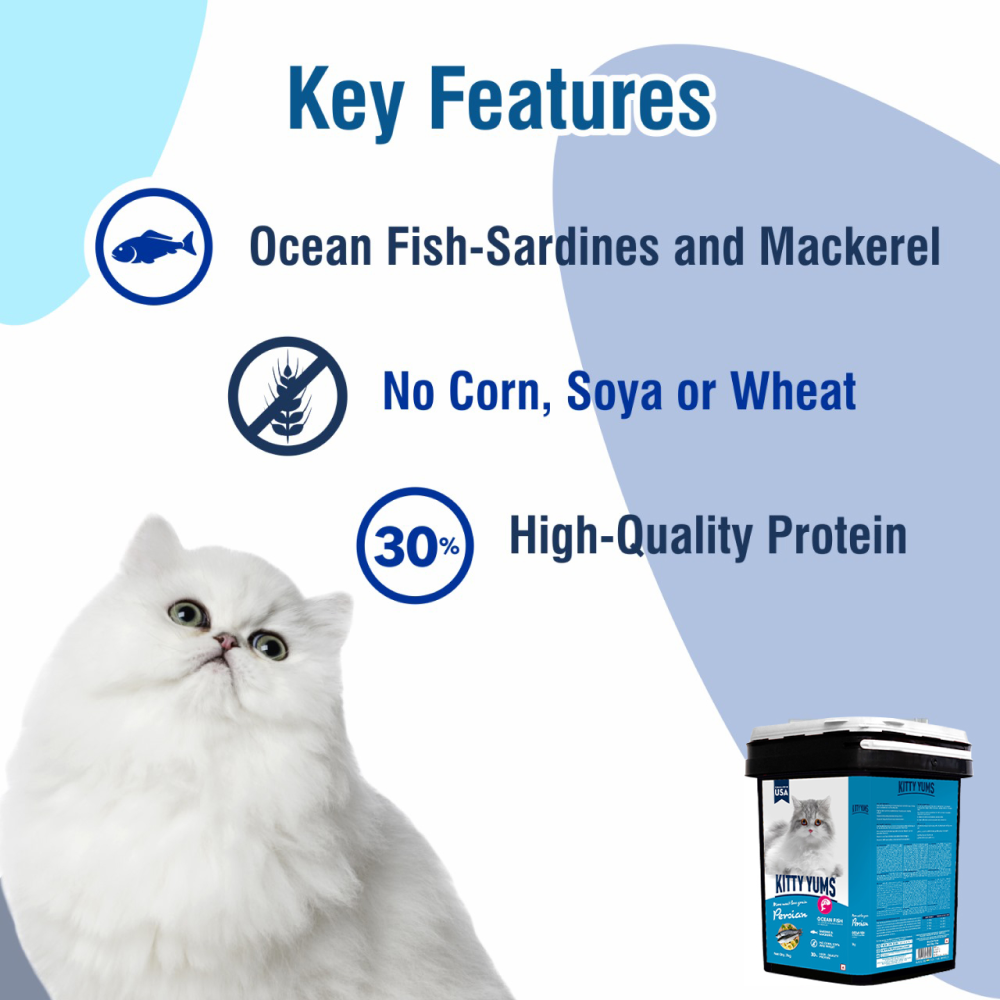 Kitty Yums Ocean Fish Persian Cat Dry Food