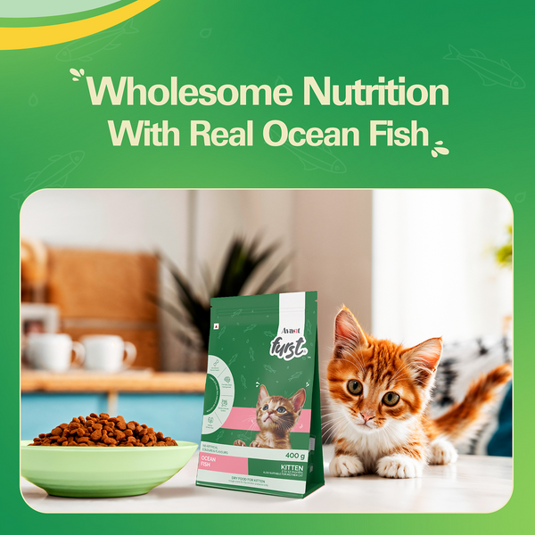Avant Furst Ocean Fish Flavour Kitten Cat Dry Food