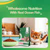 Avant Furst Ocean Fish Flavour Kitten Cat Dry Food Cats- Dry food Avant Furst
