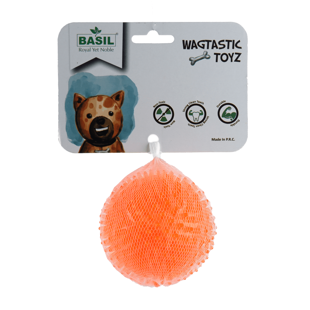 Basil Teething Ring Chew Toy and Squeaky Rubber Ball Toy Combo for Dogs