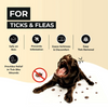 FurBall Story Preven Tick and Flea Spray for Dogs Dogs-Health & Wellness Furball Story