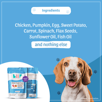 BLEP Chicken & Pumpkin Pawer Dog Wet Food (300g)