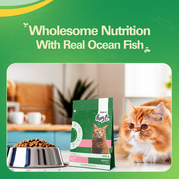 Avant Furst Ocean Fish Flavour Adult Cat Dry Food