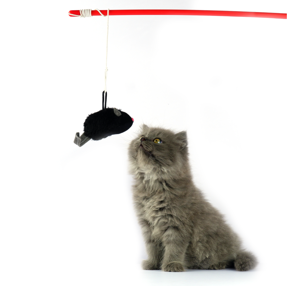 Trixie Squeaky Playing Rod Toy for Cats (Black) Cats-Toys Trixie