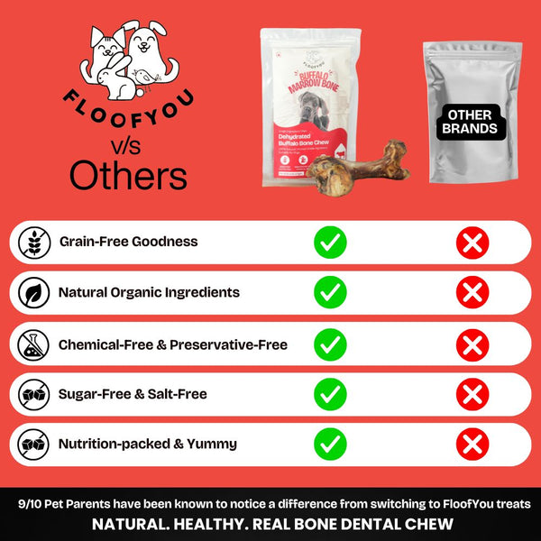 FloofYou Air Dried Buffalo Marrow Bone Chew Dog Treats