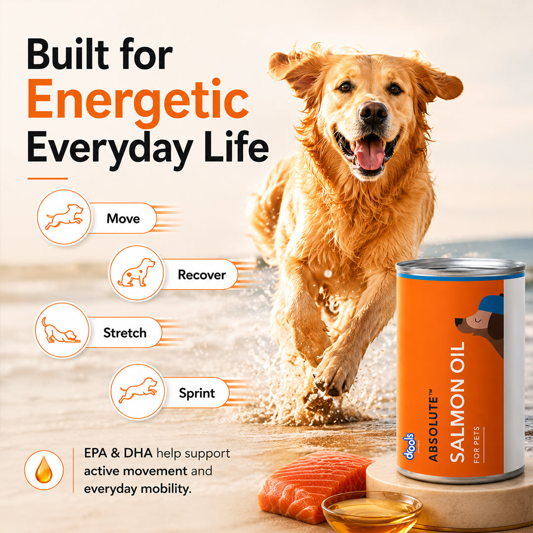 Drools Absolute Salmon Oil Syrup Supplement for Dogs Dogs-Health & Wellness Drools