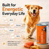 Drools Absolute Salmon Oil Syrup Supplement for Dogs Dogs-Health & Wellness Drools