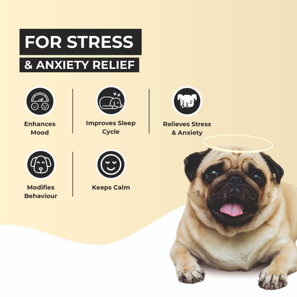 FurBall Story Calm Pet Tablet for Dogs and Cats