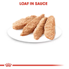 Royal Canin Kitten Loaf Cat Wet Food Cats-Wet Food Royal Canin
