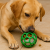 Talking Dog Pop Hollow Elastic Interactive Busy Ball Toy for Dogs (Green) Dogs-Toys Talking Dog Club Dropship