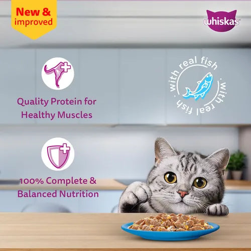 Sheba Tuna Pumpkin & Carrot In Gravy and Whiskas Tuna in Jelly Cat Wet Food Combo Exclusive Combo Exclusive Combo