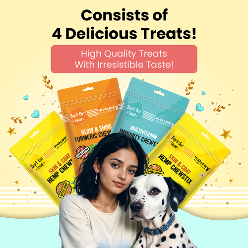 Bark Out Loud by Vivaldis Prefect Gifting Treat Box for Dogs