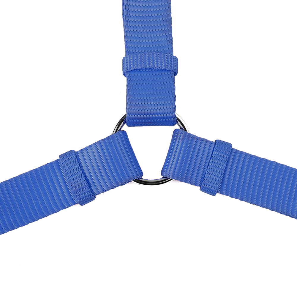 Trixie Premium H Harness, Premium Leash and Collar for Dogs Combo (Royal Blue) - S