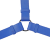 Trixie Premium H Harness, Premium Leash and Collar for Dogs Combo (Royal Blue) - L Dogs-Collar, Leashes, harnesses Trixie