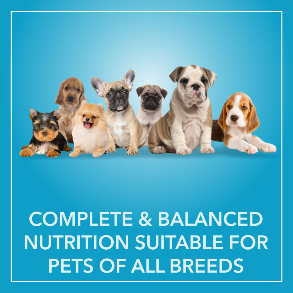 Purepet Chicken & Vegetable Puppy Dog Dry Food Dogs- Dry Food Purepet