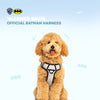Warner Bros Batman Harness for Dogs and Cats Both-Collar, Leashes, harnesses Warner Bros