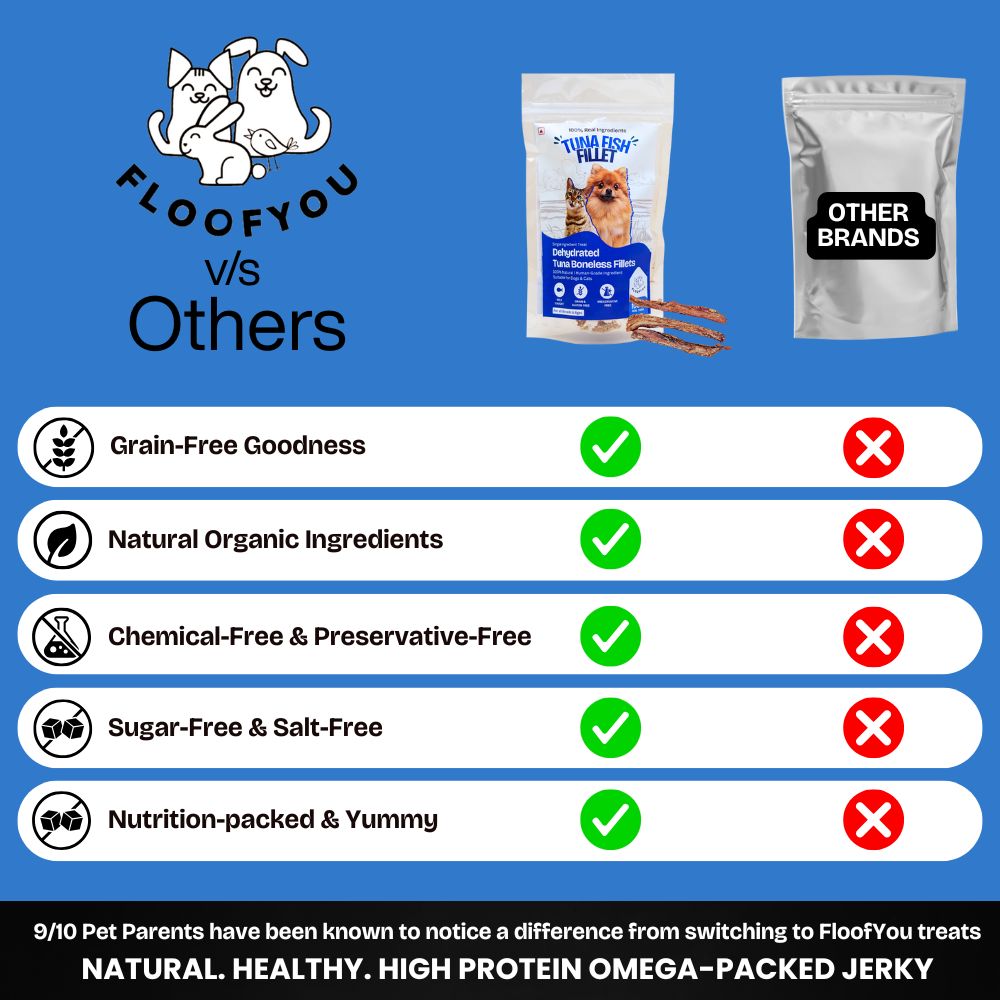 FloofYou Air Dried Tuna Fish Fillet Dogs & Cats Treat Dog Treats + Others FloofYou