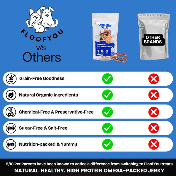 FloofYou Air Dried Tuna Fish Fillet Dogs & Cats Treat
