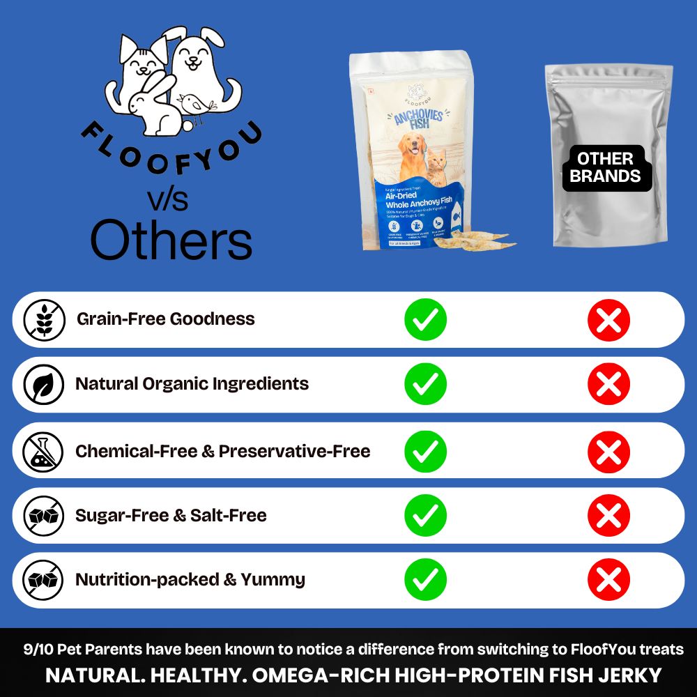 FloofYou Air Dried Whole Anchovy and Sardines Fish Dog and Cat Treats Combo Dog Treats + Others FloofYou