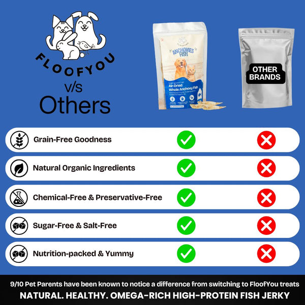 FloofYou Air Dried Whole Anchovy Fish Dog and Cats Treats